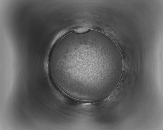 X0000115590054200911171038