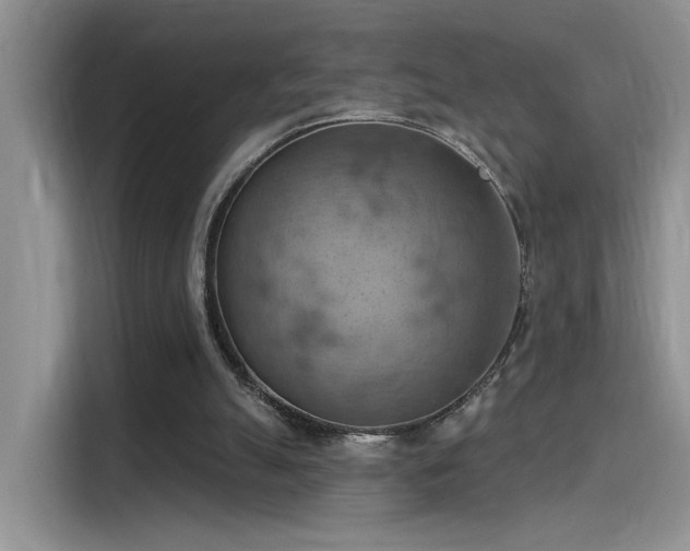 X0000115590055200911171038