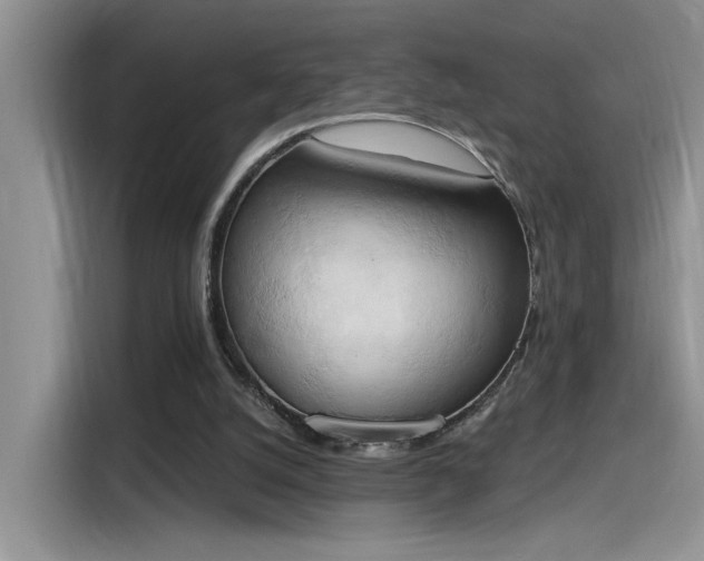 X0000115590056200911171038