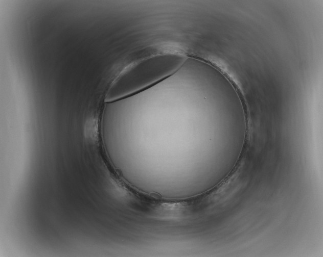 X0000115590057200911171038