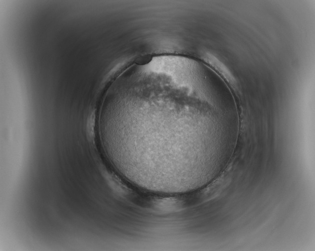 X0000115590058200911171038