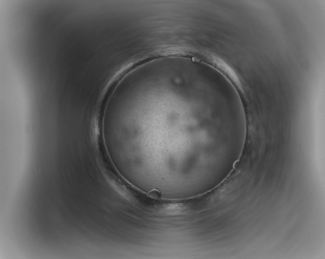 X0000115590059200911171038