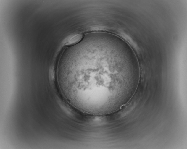 X0000115590060200911171038