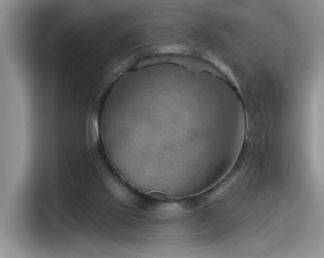X0000115590061200911171038