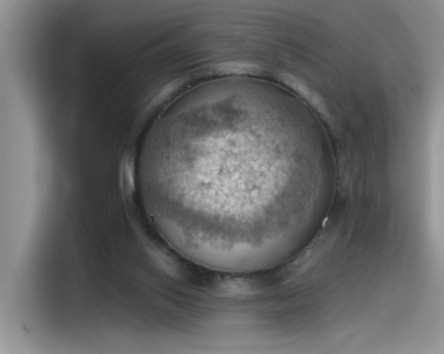 X0000115590062200911171038