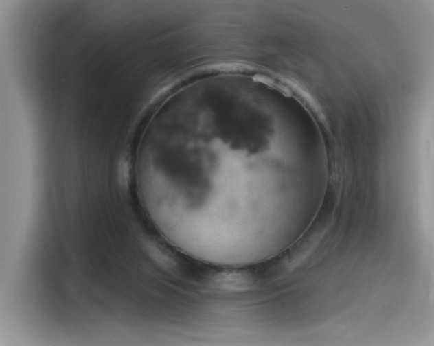 X0000115590063200911171038