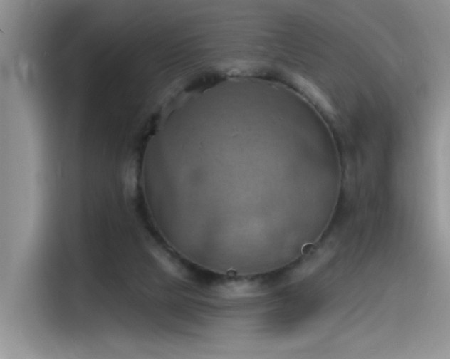 X0000115590065200911171038