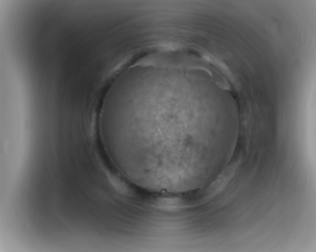 X0000115590066200911171038