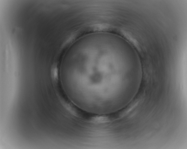 X0000115590067200911171038
