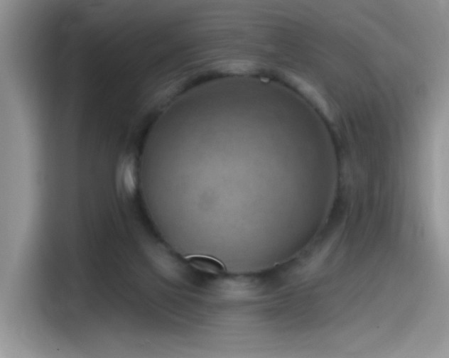 X0000115590069200911171038