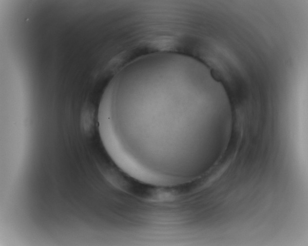 X0000115590073200911171038