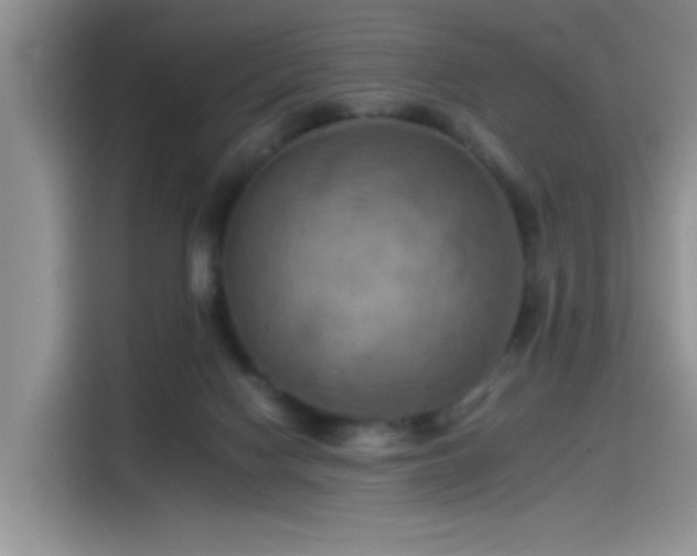 X0000115590074200911171038