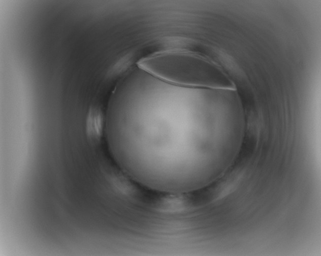 X0000115590076200911171038