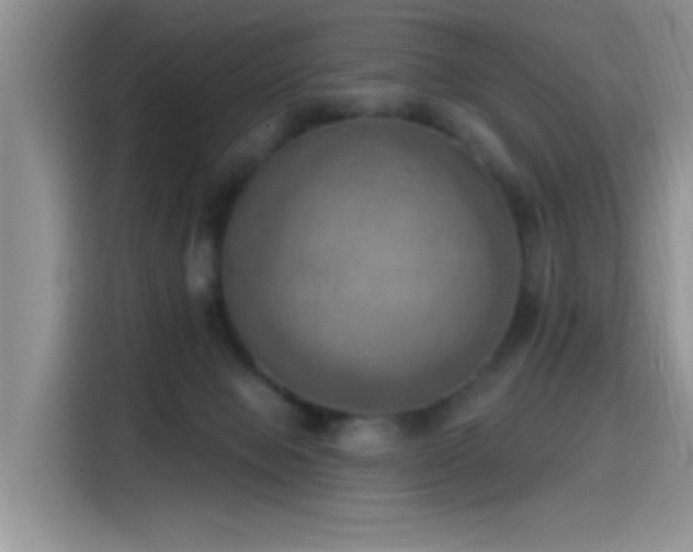 X0000115590077200911171038