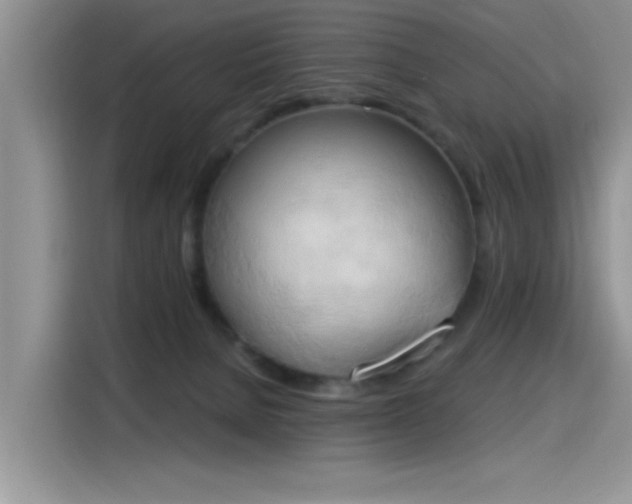 X0000115590080200911171038