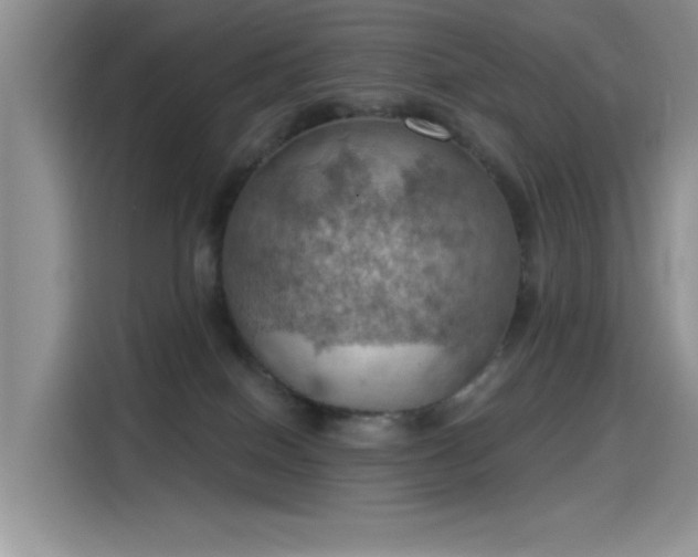 X0000115590086200911171038