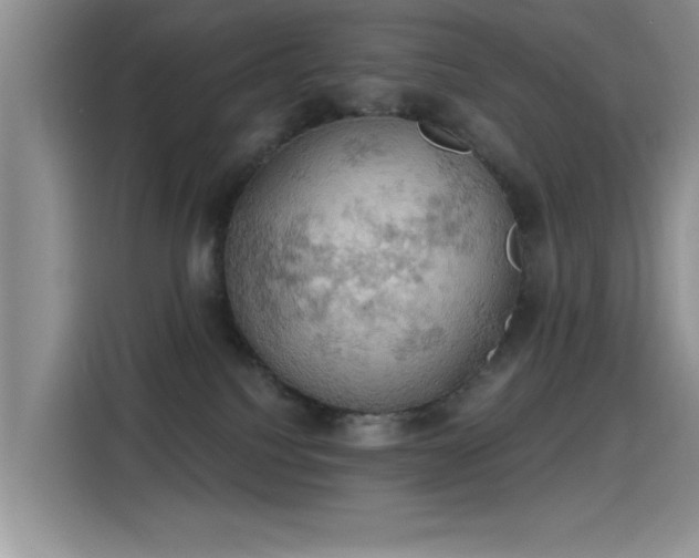 X0000115590088200911171038