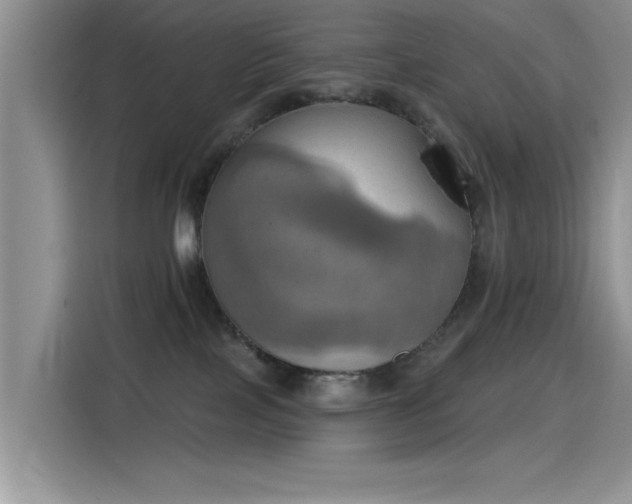 X0000115590089200911171038
