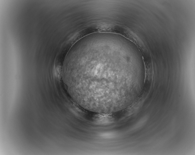 X0000115590093200911171038