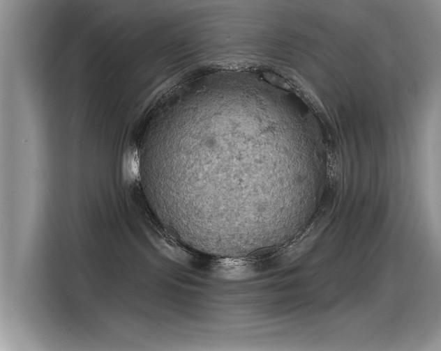 X0000115590095200911171038