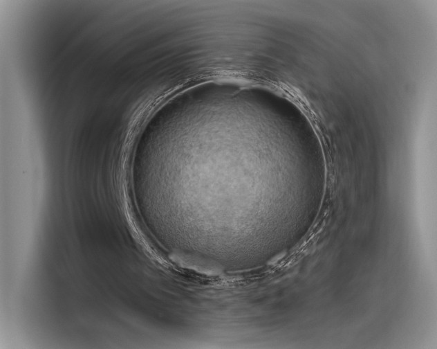 X0000115590097200911171038