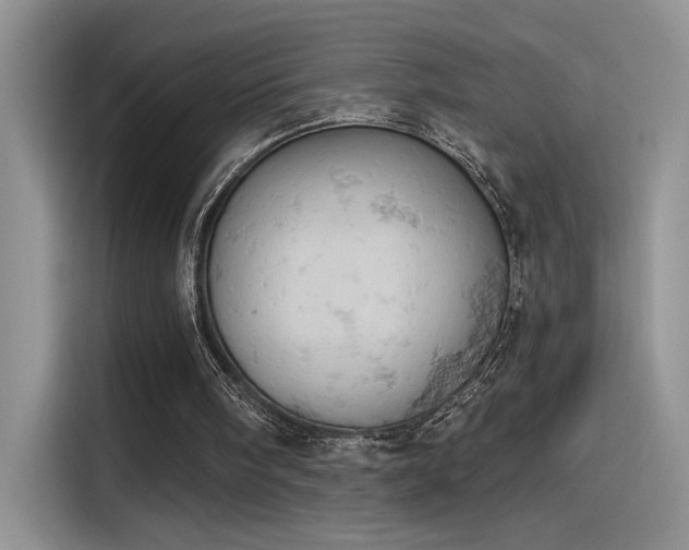 X0000115590098200911171038