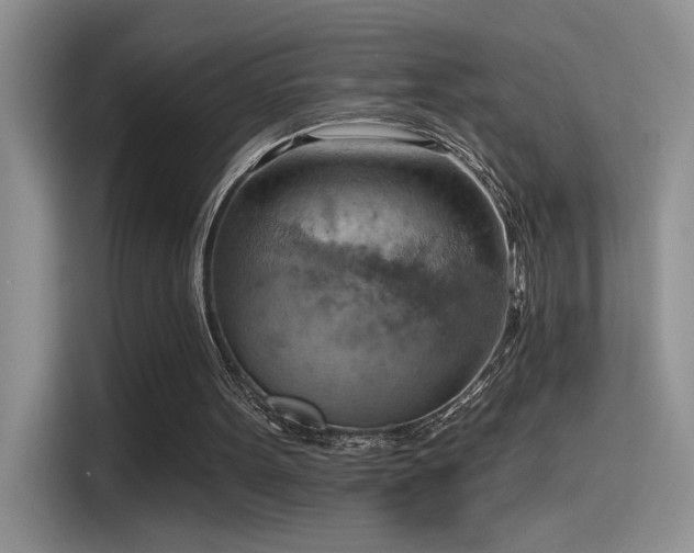 X0000115590099200911171038