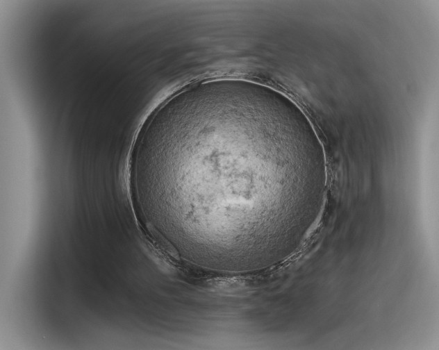 X0000115590100200911171038