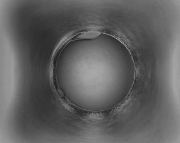X0000115590101200911171038