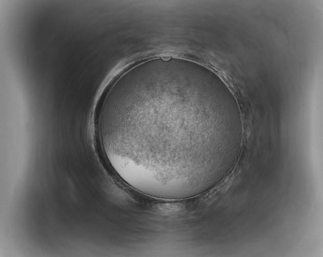 X0000115590102200911171038