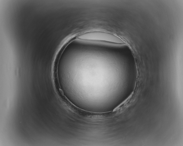 X0000115590104200911171038