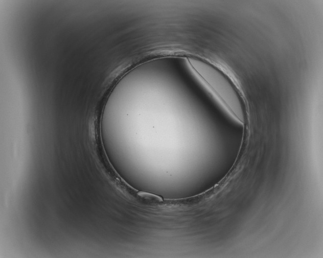 X0000115590105200911171038
