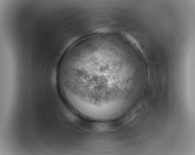 X0000115590106200911171037