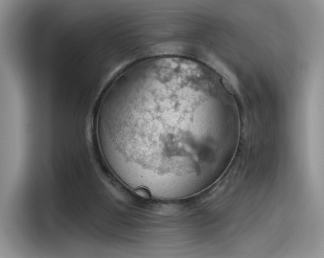 X0000115590107200911171037