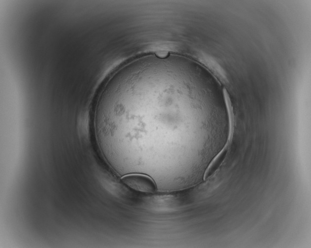 X0000115590108200911171037