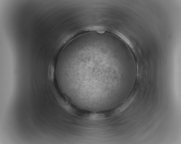 X0000115590109200911171037