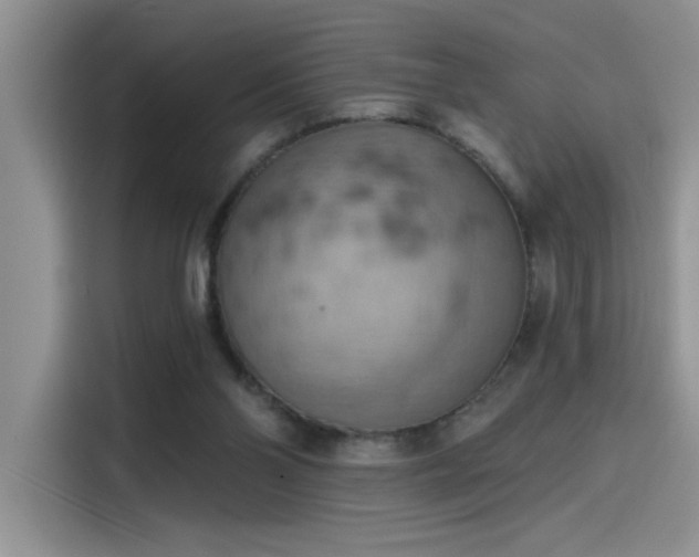 X0000115590110200911171037