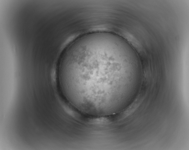 X0000115590112200911171037