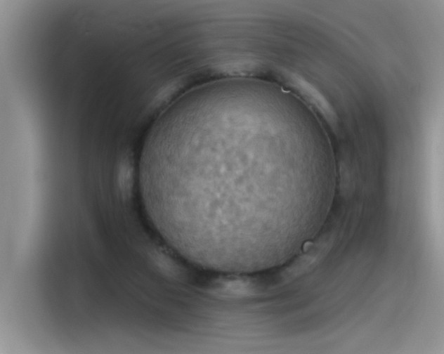 X0000115590113200911171037