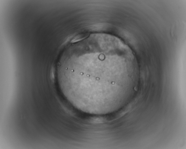 X0000115590115200911171037