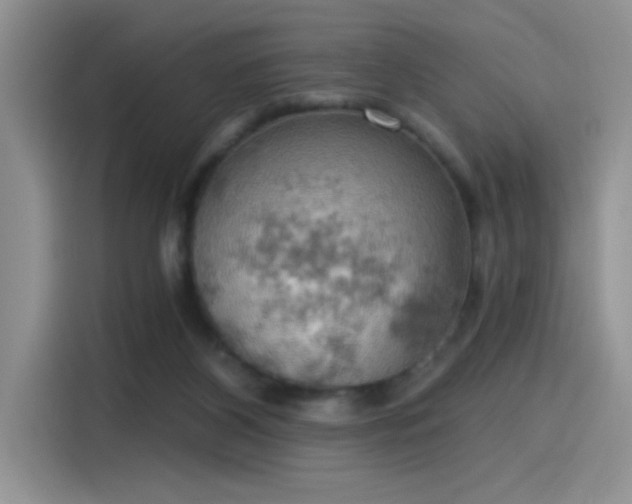 X0000115590116200911171037