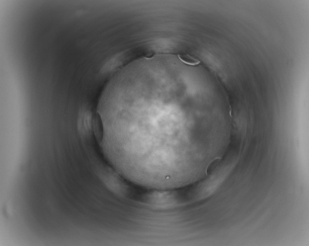 X0000115590117200911171037