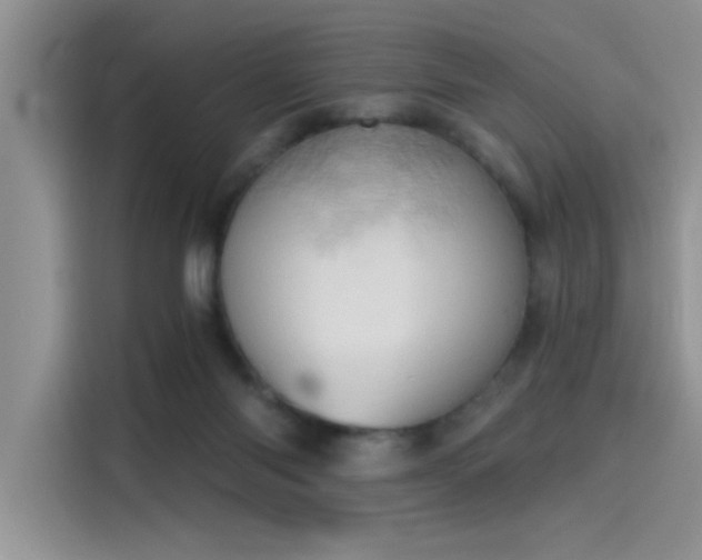 X0000115590118200911171037