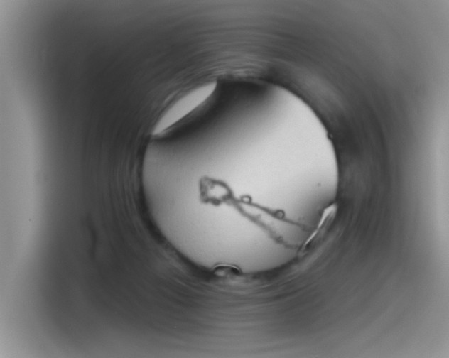 X0000115590121200911171037