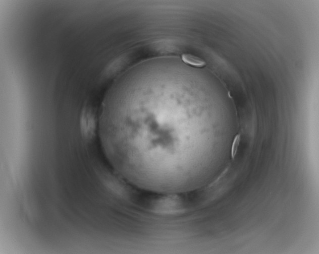 X0000115590124200911171037
