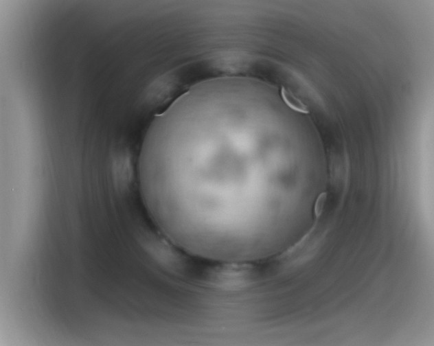 X0000115590128200911171037