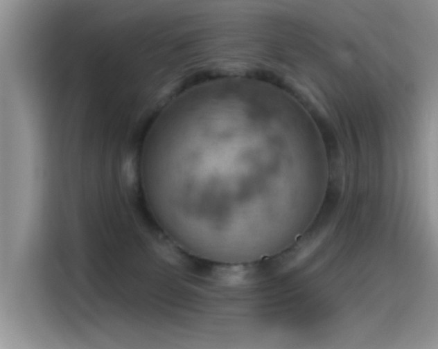 X0000115590131200911171037