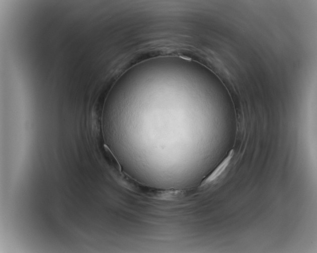 X0000115590136200911171037