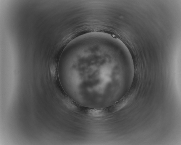 X0000115590139200911171037