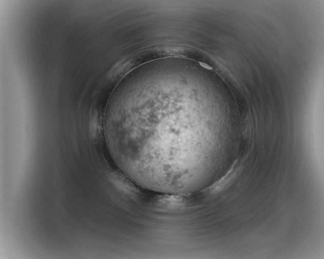 X0000115590140200911171037